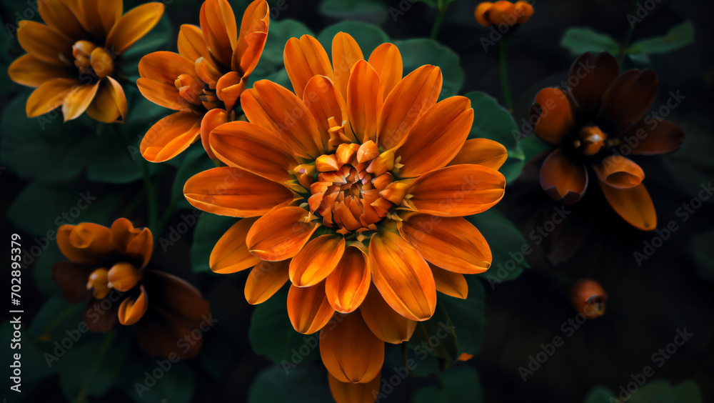 Flower, micro photography, Generative AI illustrations