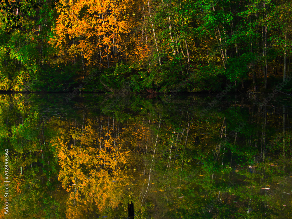 Fototapeta premium Mysterious foggy forest with reflexion on a watter surface during autumn day