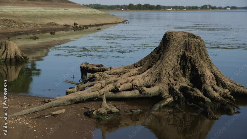 Dolly Close Up Shot of Receding River Bank Revealing Tree Stumps Dolly Close Up Shot of Receding River Bank Revealing Tree Stumps