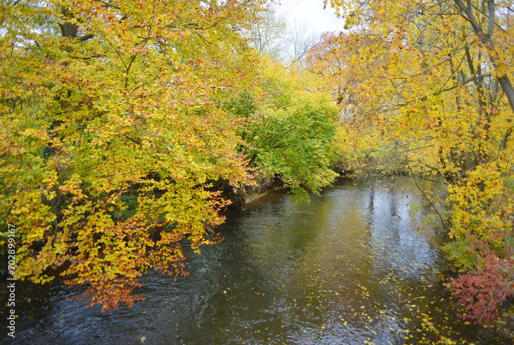 Ilm river with colorful trees in autumn in Tiefurt, Weimar, Germany