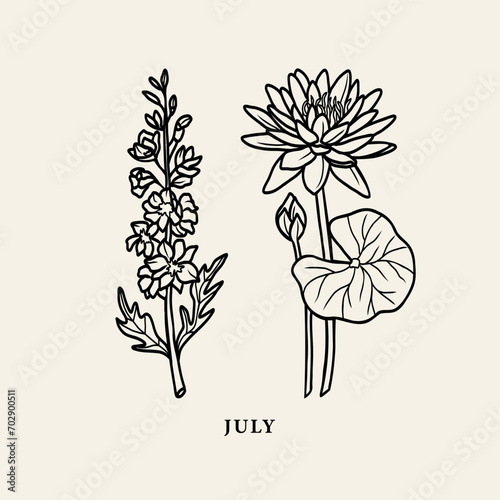 Line art water lily and delphinium illustration
