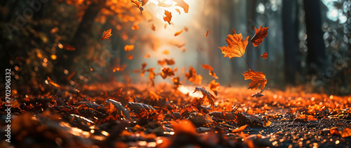 autumn, tree, leaves, fall,