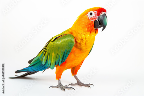 Quiet Parrot on white background. Generative AI © Philippe