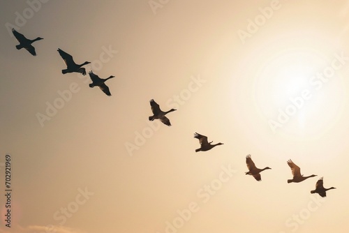 A flock of birds flying in a V-formation, symbolizing cooperation and collective effort, against a clear sky background. photo