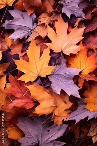 a bunch of colorful leaves arranged on the ground  in the style of dark violet and light orange  light maroon and dark azure  explosive pigmentation  earthy tones  anglocore  light crimson and yellow.
