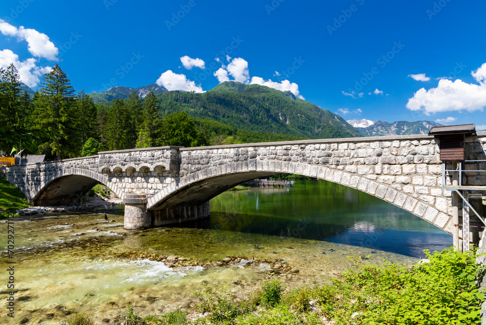 Fototapeta premium Lake Bohinj in Triglav national park, Slovenia