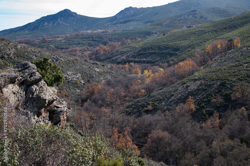 Vista del valle del Pelagallinas en la serranía norte de Guadalajara.