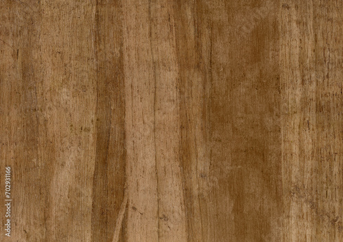 dark brown papyrus sheet, bark paper, wood grain for rustic background, ancient egyptian papyrus