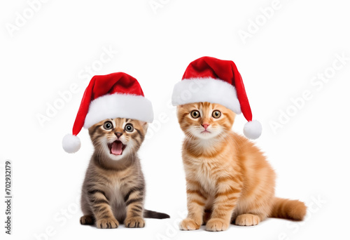 Cute kittens with party hat on a white background. Holiday, birthday concept. © ulkas