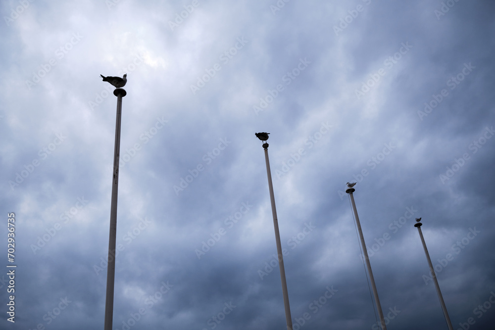 Four birds are sitting on four poles under a cloudy sky