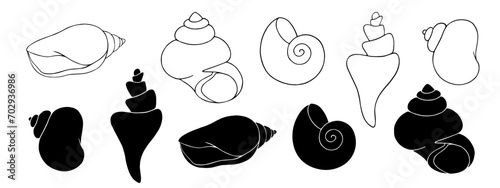 Set of linear sketches and silhouettes of seashells.Vector graphics.