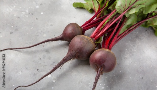 fresh beet harvest with stems on gray concrete background