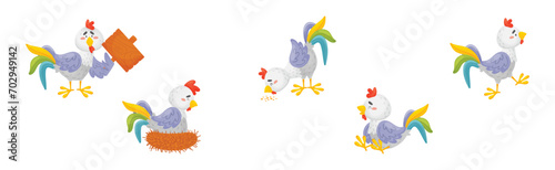 Funny Rooster or Cockerel Character in Different Pose Vector Set