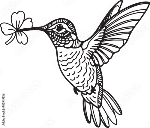Wallpaper Mural Hummingbird line art silhouette illustration design vector Torontodigital.ca