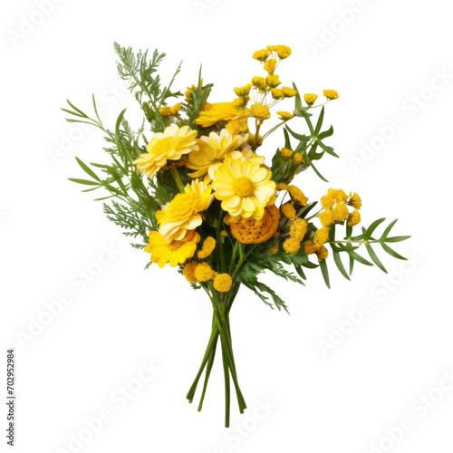 flower - Tansy: Hostile thoughts (2)