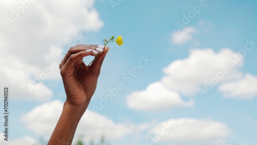 żółty kwiat w dłoni