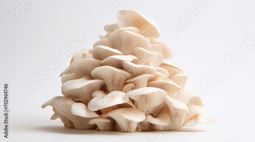 A Pile of Mushrooms on a White Table photo