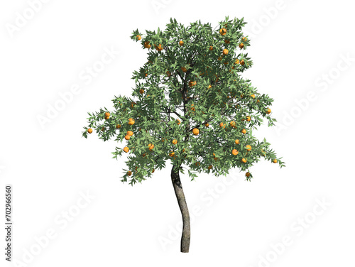 Orange tree high transparent image