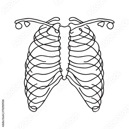 One line draws the anatomy of the chest. Human organ concept. Graphic vector illustration of human ribs continuous drawing
