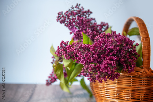 bouquet of beautiful blooming lilacs spring flowers with space for text