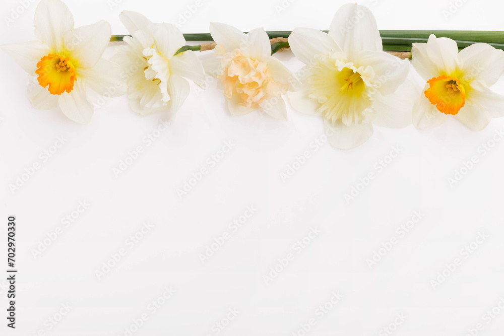Obraz premium Spring frame of yellow daffodils, flower arrangement