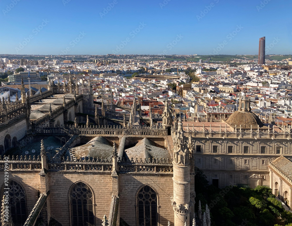 Fototapeta premium sevilla catedral vista desde la giralda vista aérea IMG_4797-as24