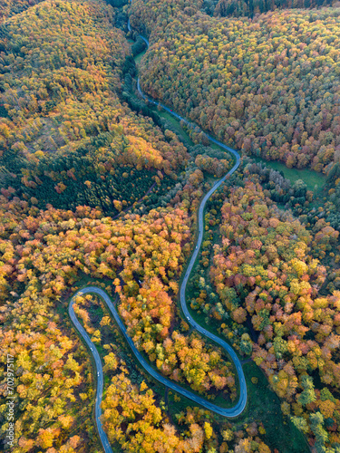 Aerial view of a winding road going through the colorfull autumn forest in germany