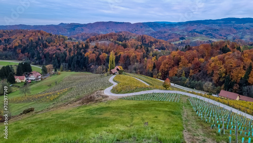 Breathtaking panorama showcasing mesmerizing landscape adorned by picturesque vineyards and enchanting Herzerlstrasse, graciously set along the border between Austria and Slovenia. Tourist wine road photo