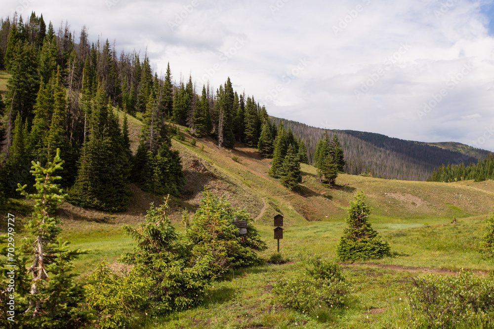 Tranquil scene of a lush green grassy field near a forested rocky river valley