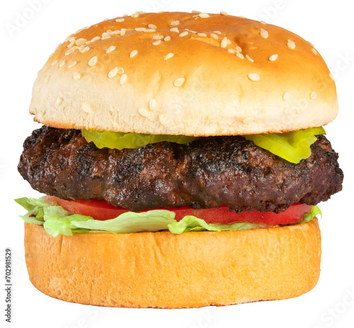 Basic Burger on Transparent Background