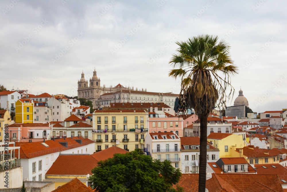 Alfama viewpoint, Miradour of Santa Luzia with a palm tree,  lisbon, Portugal