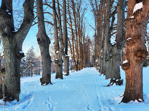 Photography Park