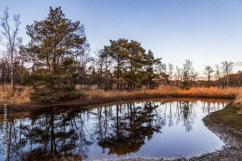 Nature reserve - Appel estate, near the village of Voorthuizen on the Veluwe. Nature reserve - Appel estate, near the village of Voorthuizen on the Veluwe.