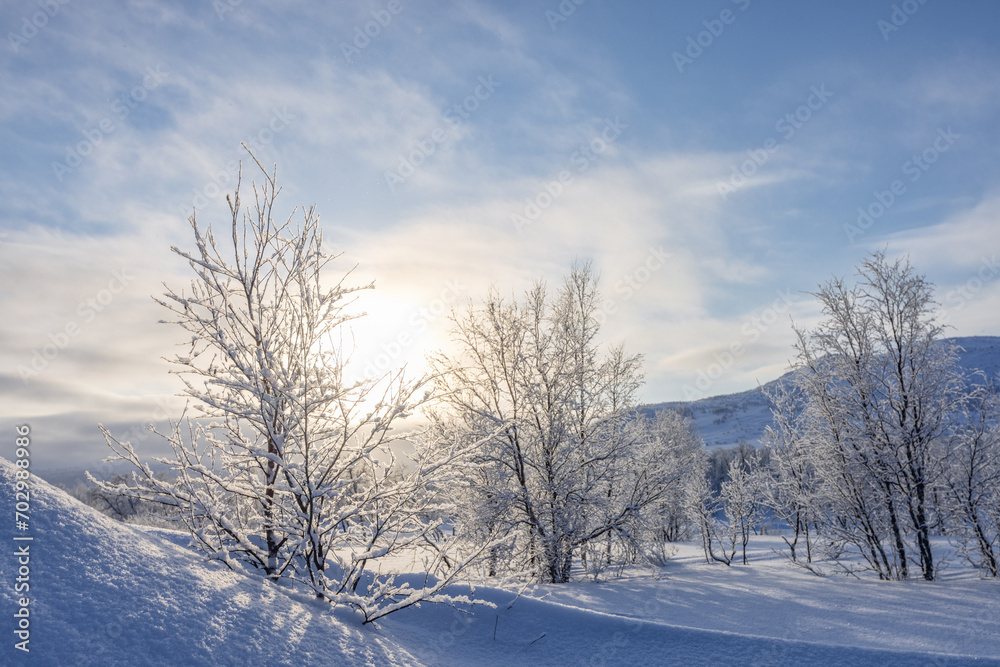 Winter landscape with snow-covered trees and mountains on background