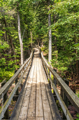 Crawford Lake Conservation area, wood pathway around the lake shore, Milton, ON, Canada