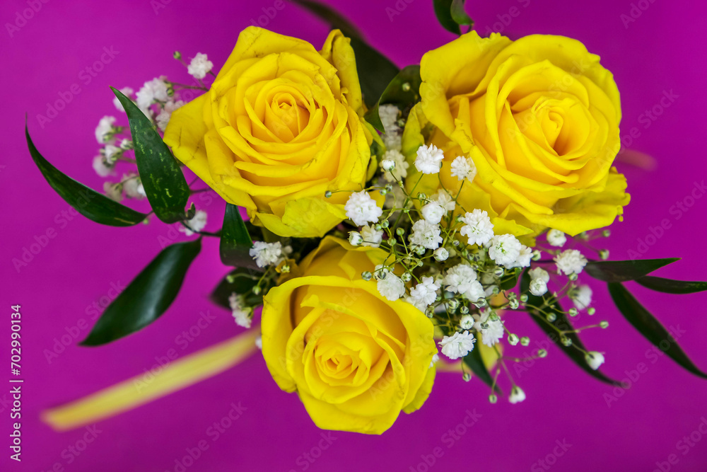 Bouquet of yellow roses on a purple background Bouquet of yellow roses on a purple background