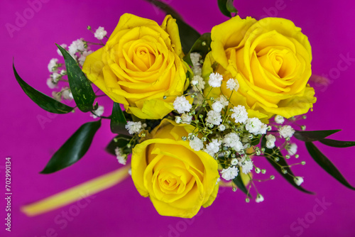 Bouquet of yellow roses on a purple background