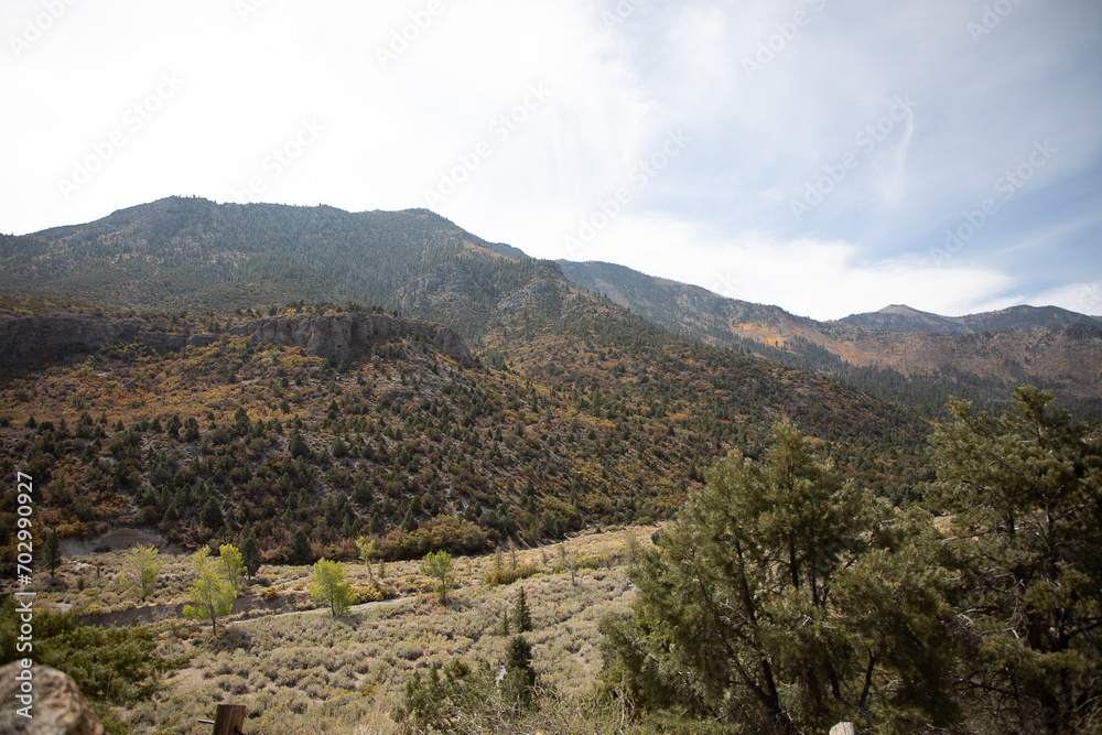 Naklejka premium the view from a lodge.