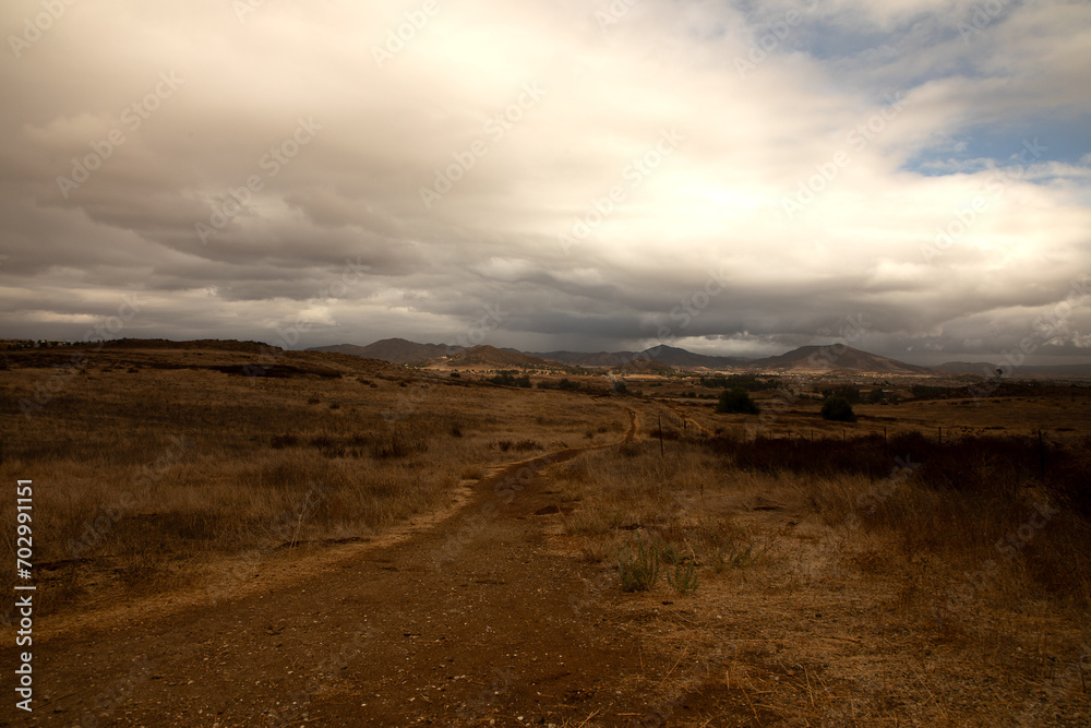 Fototapeta premium a trail down a hill.