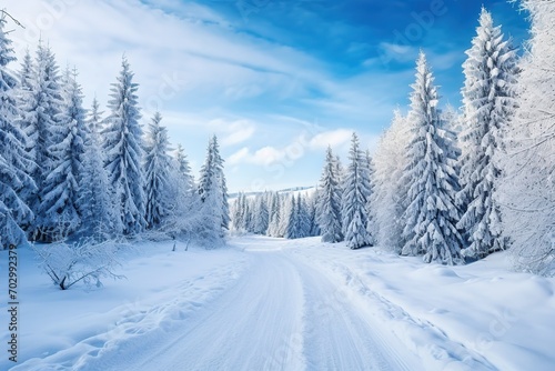 Snowy winter road in forest. Beautiful winter landscape