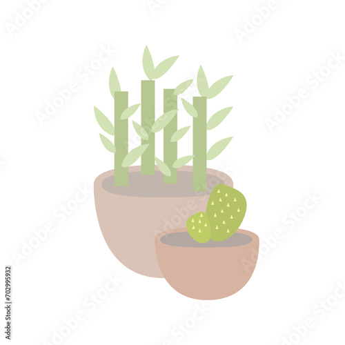 Potted plants composition bamboo and cactus in terracotta pots vector illustration
