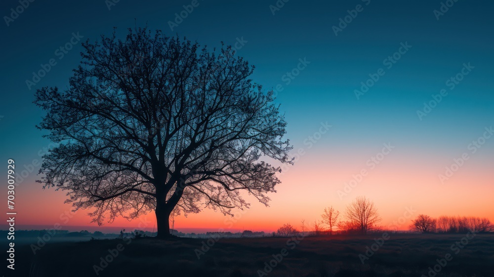 A beautiful view of the sunrise during the blue hour, with the silhouettes of trees against a sky blushing in shades of blue and violet A beautiful view of the sunrise during the blue hour, with the silhouettes of trees against a sky blushing in shades of blue and violet