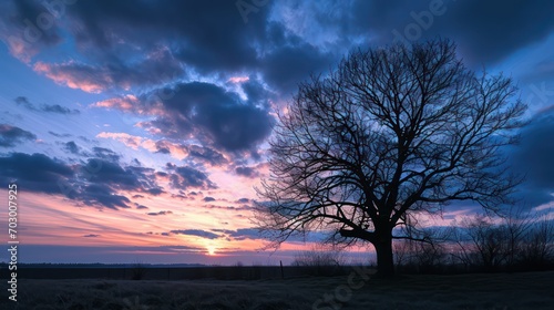 A beautiful view of the sunrise during the blue hour, with the silhouettes of trees against a sky blushing in shades of blue and violet