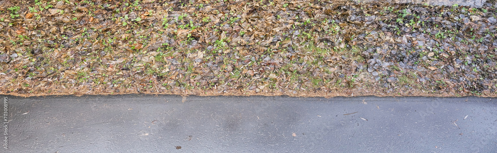 border between fallen leaves and the sidewalk in autumn in the rain border between fallen leaves and the sidewalk in autumn in the rain