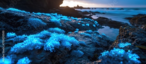 Blue glowing tears of Noctiluca scintillans, captured in Matsu, Taiwan. photo