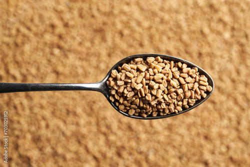 Fenugreek seeds on a metal spoon