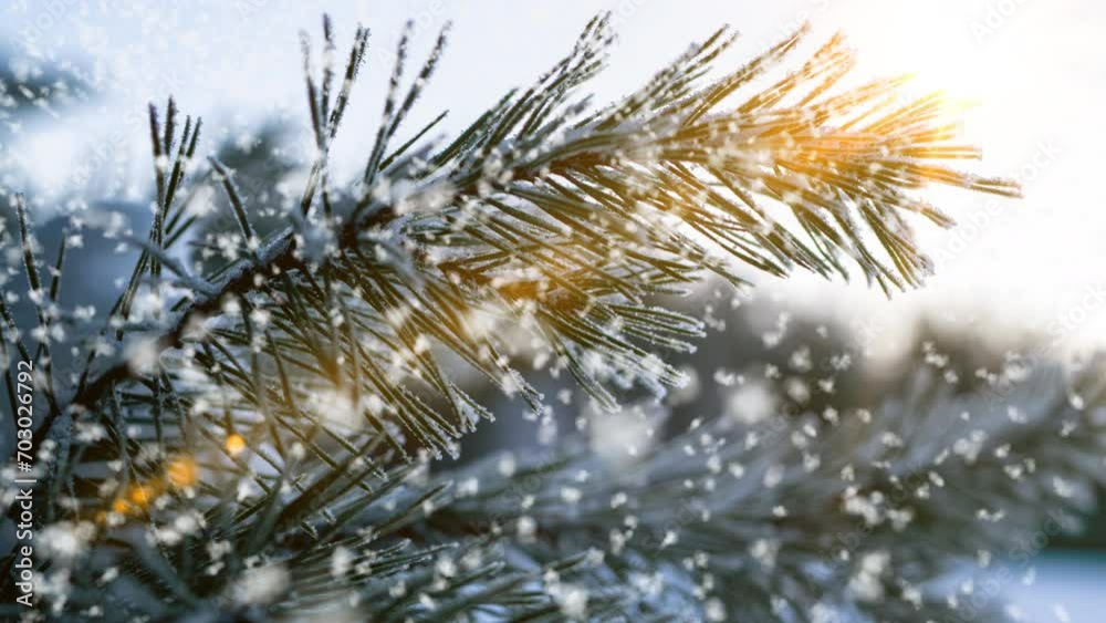 Winter landscape with beautiful snowfall, cinemagraph, winter sun, video loop Winter landscape with beautiful snowfall, cinemagraph, winter sun, video loop