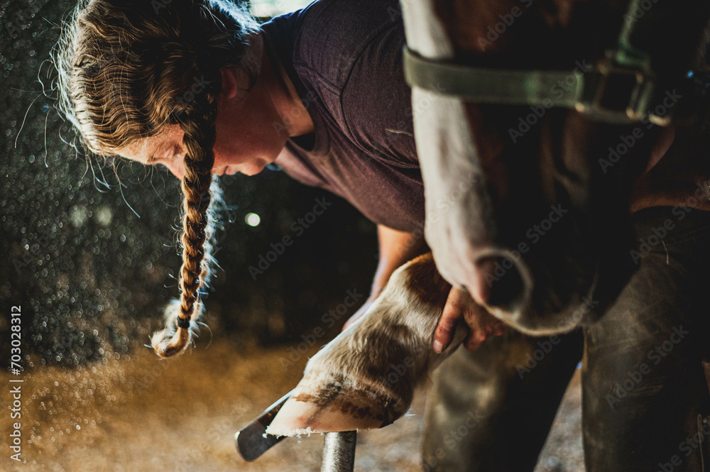 Quarter horse getting hoof shaped by a female farrier with two pigtail braids in a dusty stall in an old wooden barn.