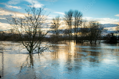 January floods on the River Severn,and submerged trees,at ssunset,Worcester City,Worcestershire,England,United Kingdom. photo