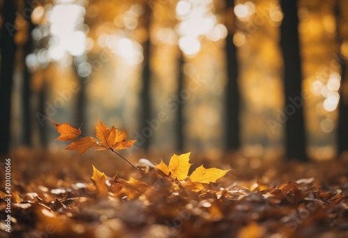 Falling orange leaves closeup An autumn scene in the forest with trees and leaves ​